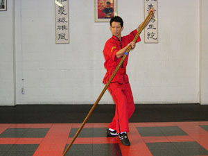 Wing Chun Pole
