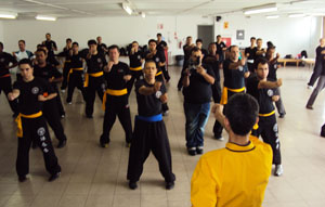 Wing Chun Brazil